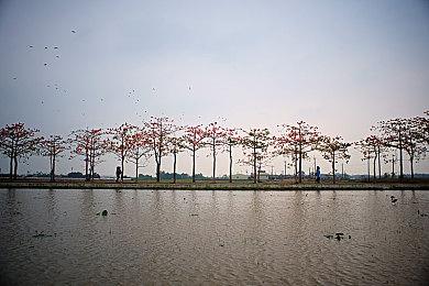 《生化危机8》DLC可选第三人称视角操作夫人